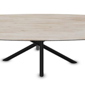 Table Iwaki