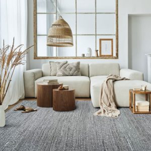 Desert Gris – photo 3
